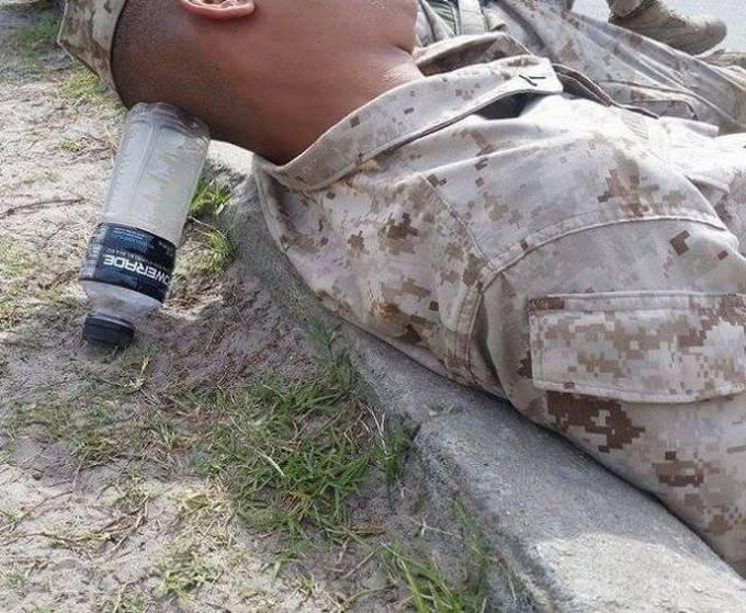 Por que eles são tão espertos! (22 fotos) 17