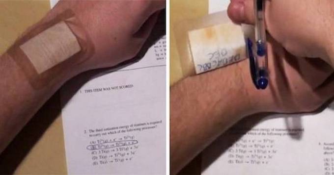 Por que eles são tão espertos! (22 fotos) 18