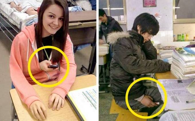 Por que eles são tão espertos! (22 fotos) 20