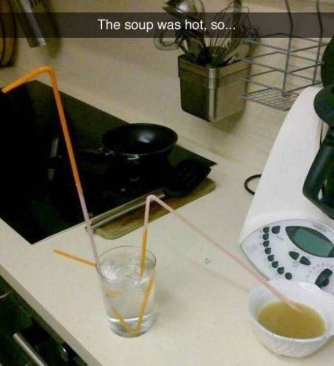 Por que eles são tão espertos! (22 fotos) 21