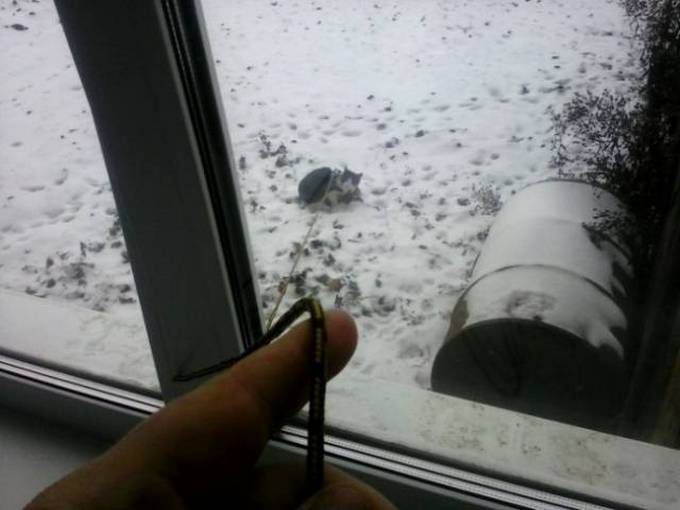 Quando a criatividade está quase no ponto de insanidade (24 fotos) 6