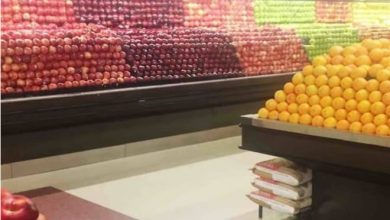 33 visões hipnóticas que acalmam nossas almas violentas 29