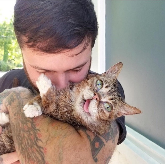 22 animais que definitivamente não estão preparados para ter sua foto tirada 6