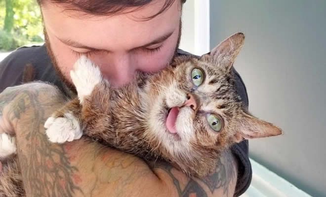 22 animais que definitivamente não estão preparados para ter sua foto tirada