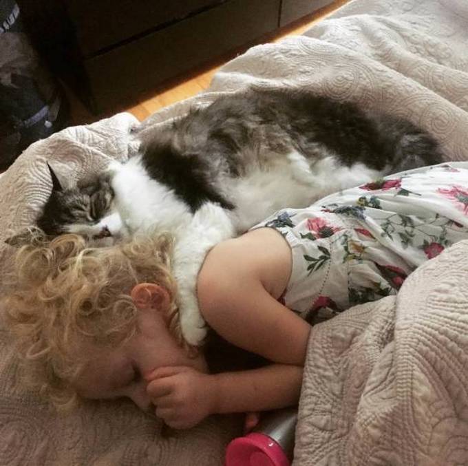 29 bons exemplos quando uma imagem diz mais do que apenas mil palavras 8