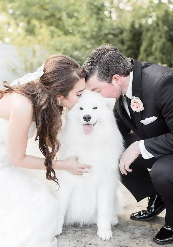 29 bons exemplos quando uma imagem diz mais do que apenas mil palavras 27