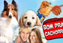8 cachorros mais legais do cinema! 15