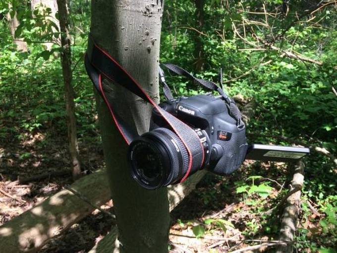 Criatividade e imaginação é tudo que você precisa em sua vida (36 fotos) 6