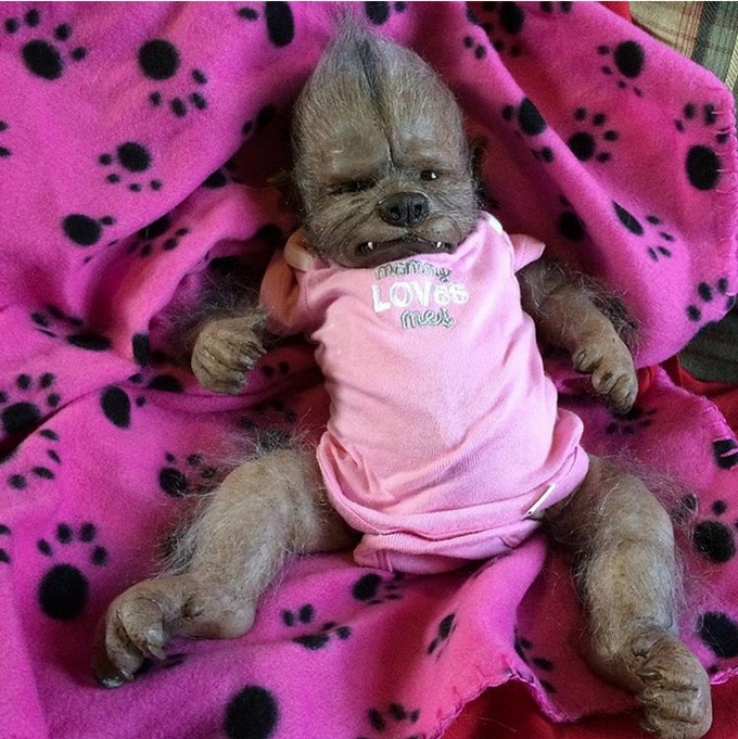 16 fotos curiosas que confundem e fogem totalmente da lógica 2