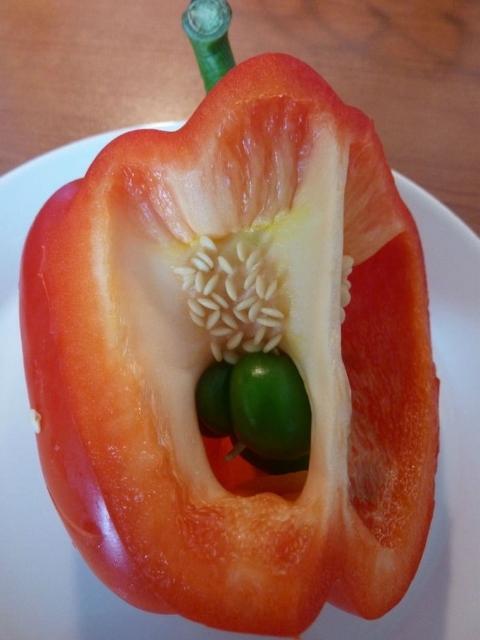 16 fotos curiosas que confundem e fogem totalmente da lógica 11