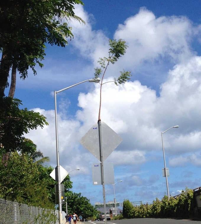 16 fotos curiosas que confundem e fogem totalmente da lógica 16