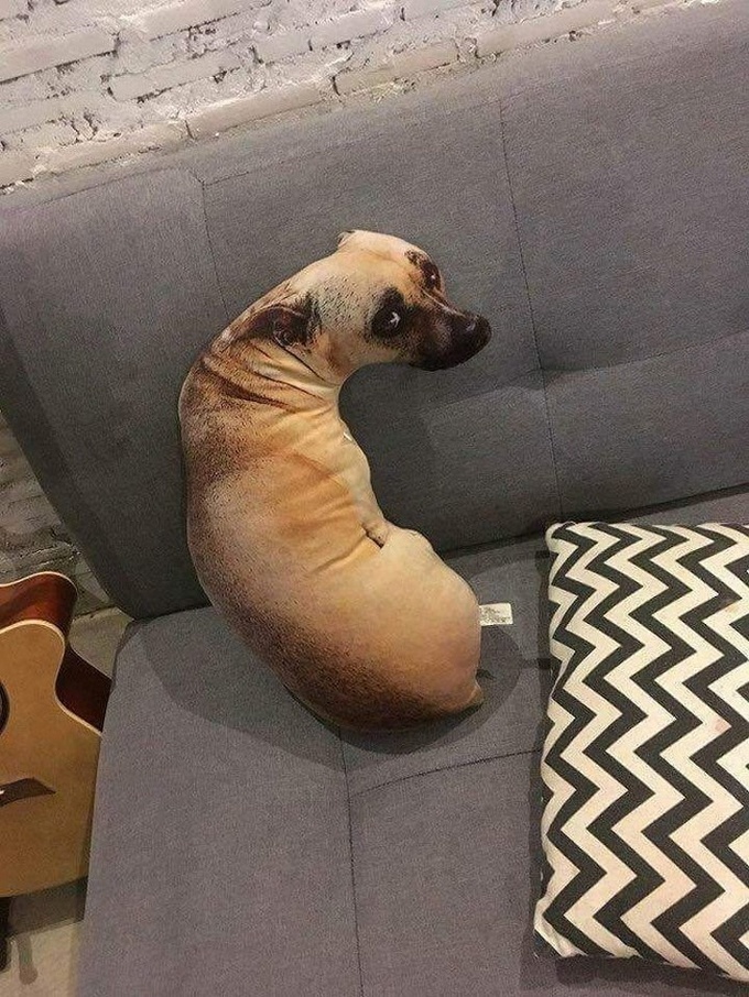 23 fotos enganosas que provam que nossos olhos não podem ser confiáveis 2