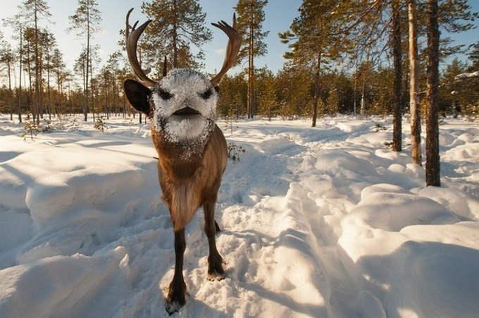 23 fotos enganosas que provam que nossos olhos não podem ser confiáveis 3
