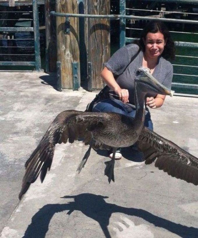 23 fotos enganosas que provam que nossos olhos não podem ser confiáveis 23