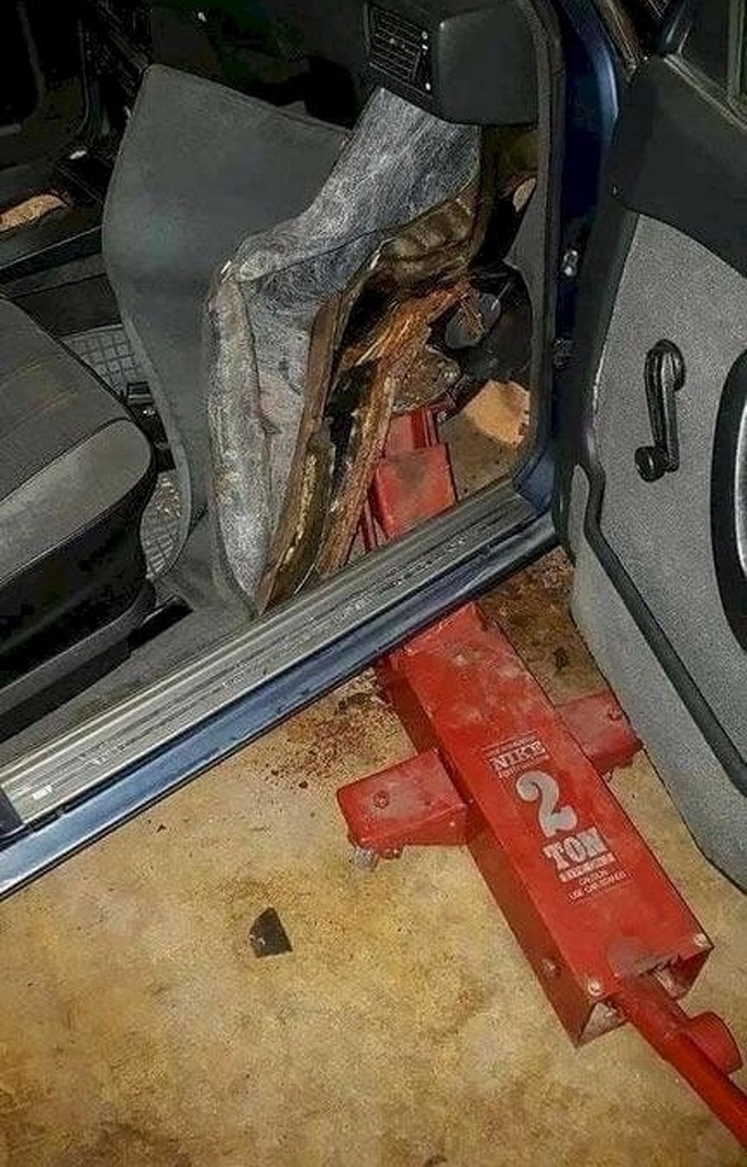 12 fotos que estão literalmente gritando por ajuda 7