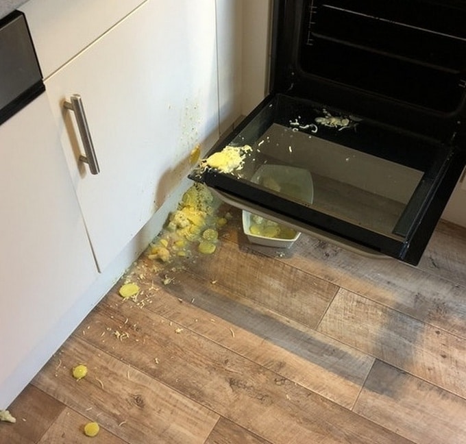 12 fotos que estão literalmente gritando por ajuda 10