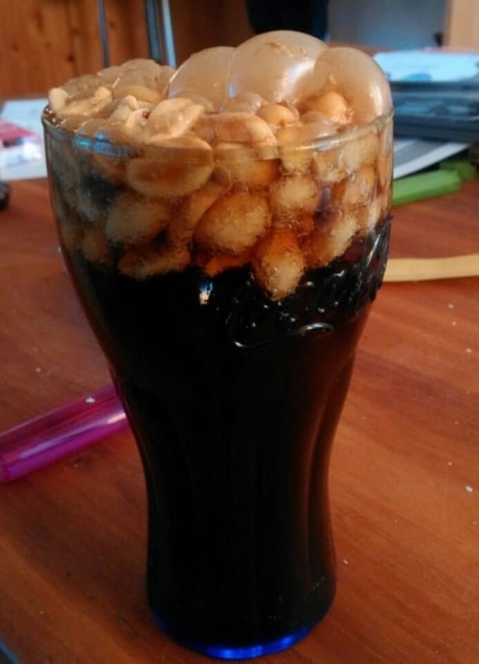 13 fotos hilariantes compartilhando por usuários da internet 1