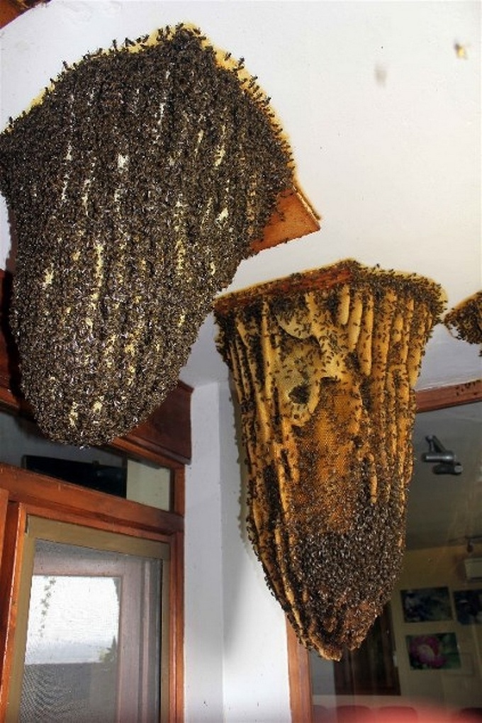 13 fotos hilariantes compartilhando por usuários da internet 5