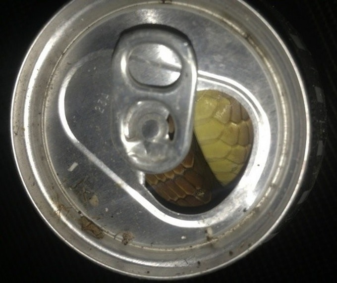 13 fotos hilariantes compartilhando por usuários da internet 9