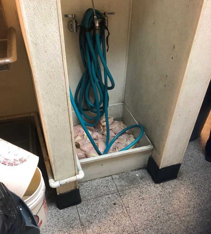 13 fotos hilariantes compartilhando por usuários da internet 10