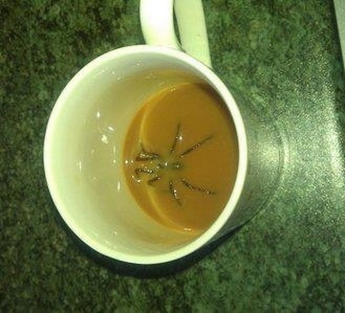 13 fotos hilariantes compartilhando por usuários da internet 11