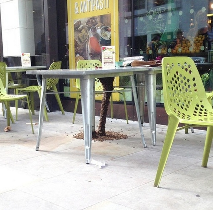 13 fotos hilariantes compartilhando por usuários da internet 12