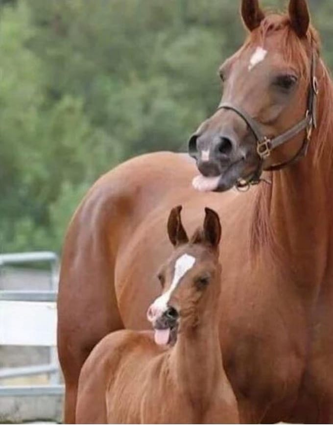 21 fotos legais que comprovam que ângulo certo é tudo 4