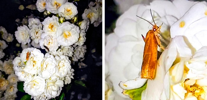 21 fotos legais que comprovam que ângulo certo é tudo 8