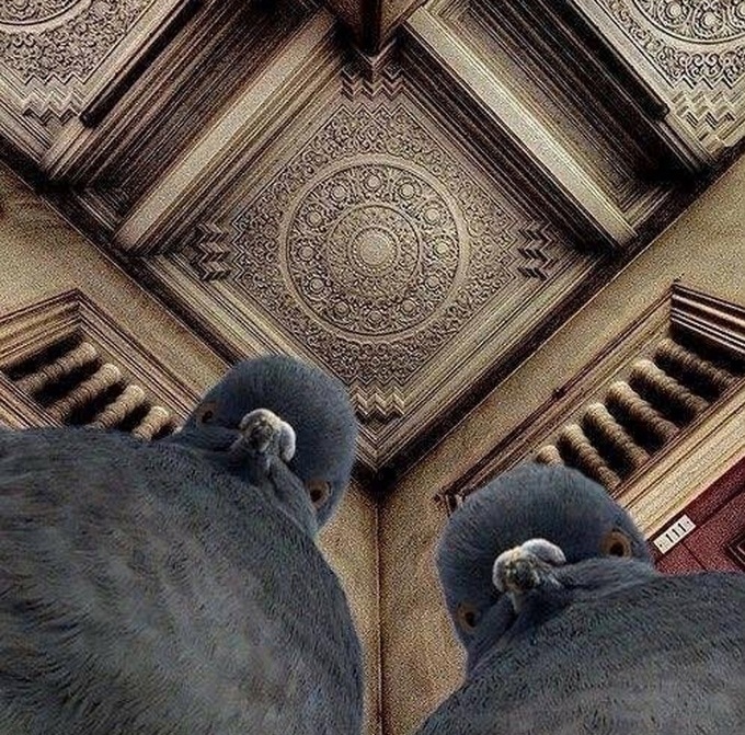 21 fotos legais que comprovam que ângulo certo é tudo 14