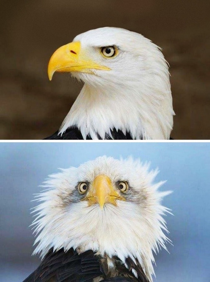 21 fotos legais que comprovam que ângulo certo é tudo 21