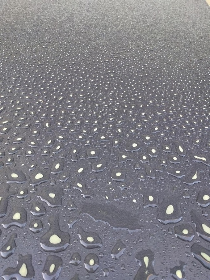 20 fotos que podem te acalmar melhor do que o chá de camomila 5