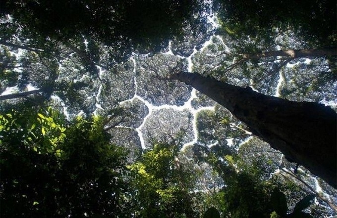 20 fotos que podem te acalmar melhor do que o chá de camomila 16