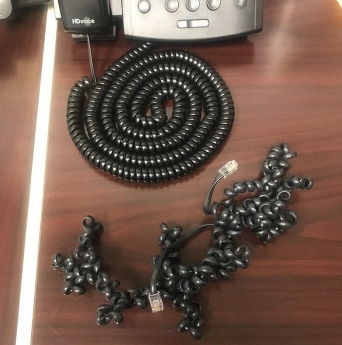 20 fotos que podem te acalmar melhor do que o chá de camomila 18