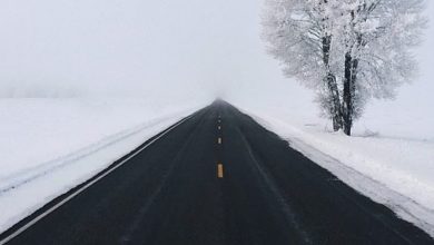 20 fotos que podem te acalmar melhor do que o chá de camomila 33