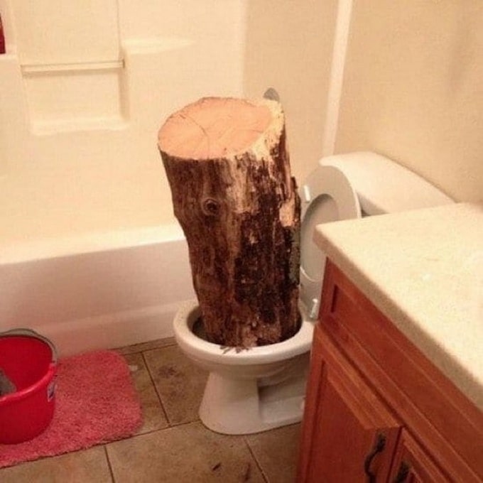 15 fotos que exorcizarão o tédio de qualquer pessoa imediatamente 2