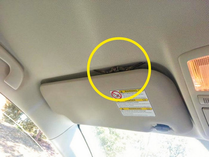 24 fotos que podem fazer nosso coração para de funcionar 1