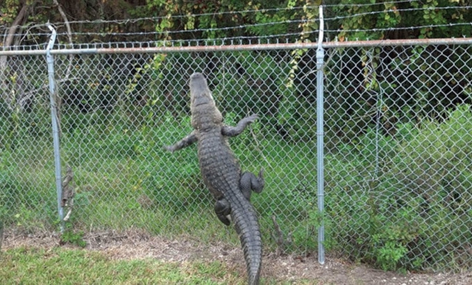 24 fotos que podem fazer nosso coração para de funcionar 12