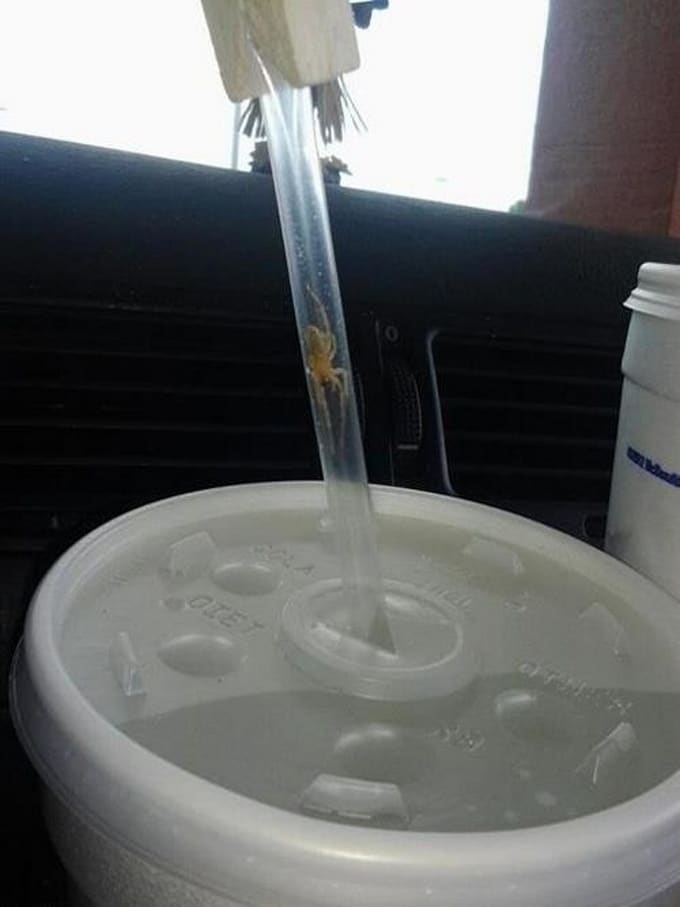 24 fotos que podem fazer nosso coração para de funcionar 13