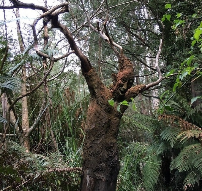 24 fotos que podem fazer nosso coração para de funcionar 21