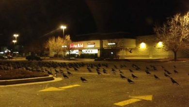 24 fotos que podem fazer nosso coração para de funcionar 8