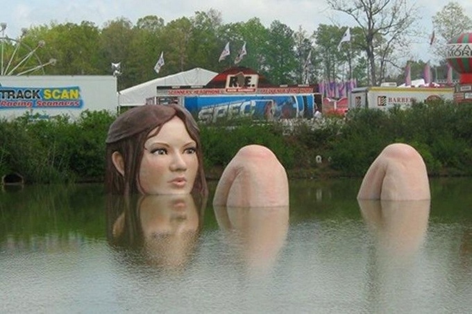 15 fotos que precisamos de um manual para entender 1