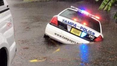 15 fotos que precisamos de um manual para entender 41