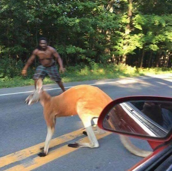 22 fotos surpreendentes que nos fazem duvidar da sanidade do nosso mundo 1 22 fotos surpreendentes que nos fazem duvidar da sanidade do nosso mundo 1