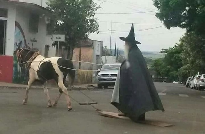 22 fotos surpreendentes que nos fazem duvidar da sanidade do nosso mundo 21 22 fotos surpreendentes que nos fazem duvidar da sanidade do nosso mundo 21