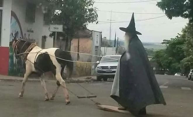 22 fotos surpreendentes que nos fazem duvidar da sanidade do nosso mundo