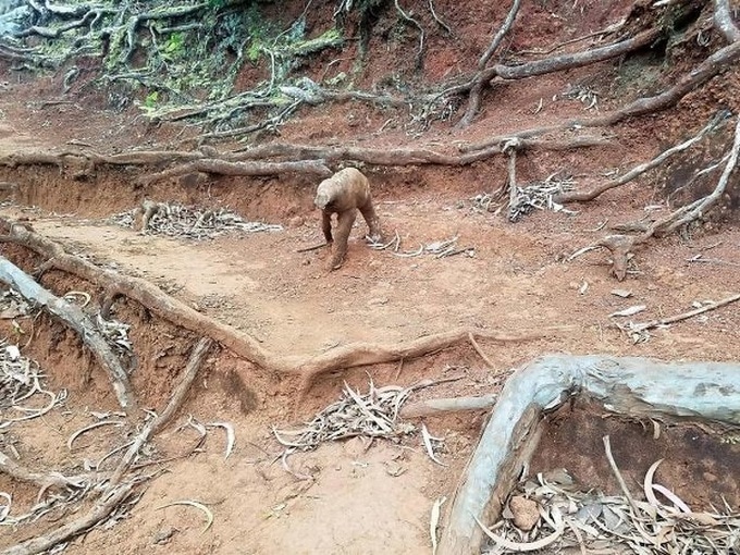 23 ilusões de ótica que vão fazer o seu cérebro bugar 3