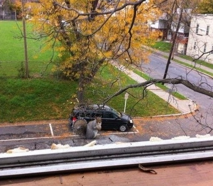 23 ilusões de ótica que vão fazer o seu cérebro bugar 15