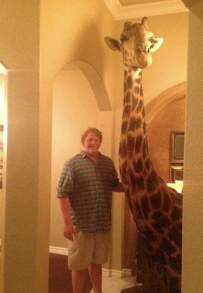 21 motivos que comprova que as pessoas perderam suas mente 4