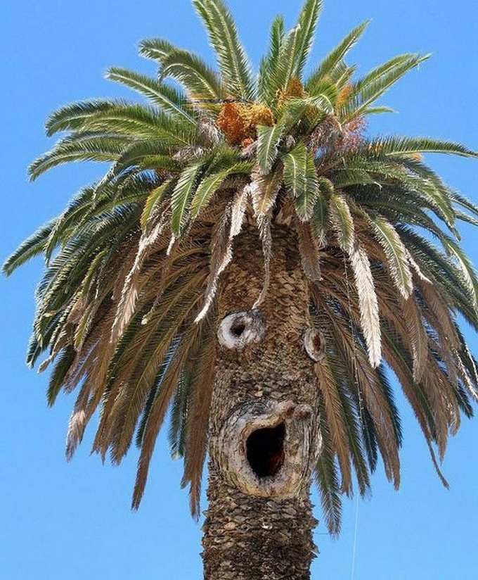 21 motivos que comprova que as pessoas perderam suas mente 7