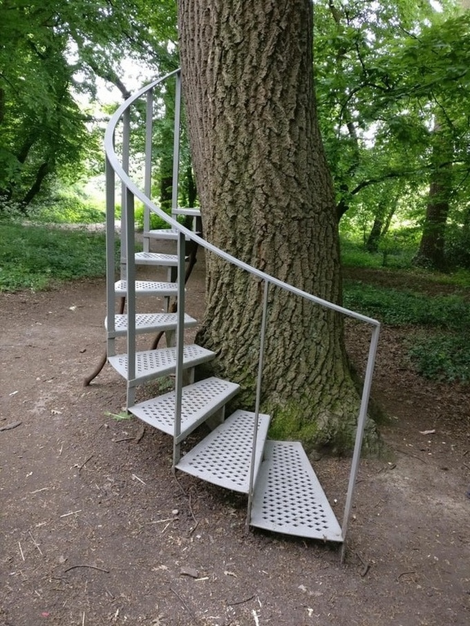 21 motivos que comprova que as pessoas perderam suas mente 10